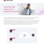 Ds Internet Access SASE thumb